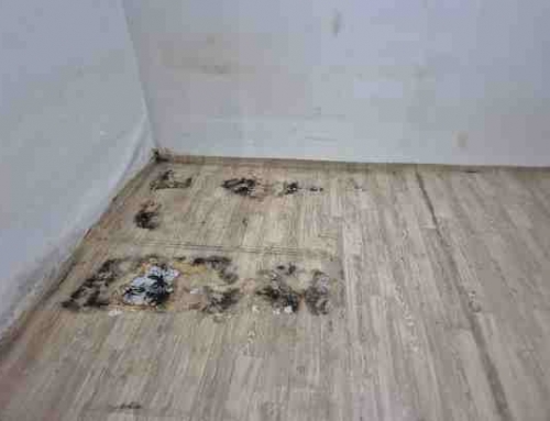 마포구 반지하 리모델링 일편